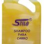 shampoo-carro